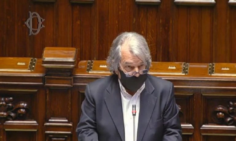 Brunetta smart working