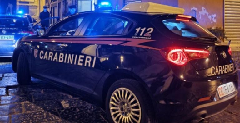 Incidente Salerno cane