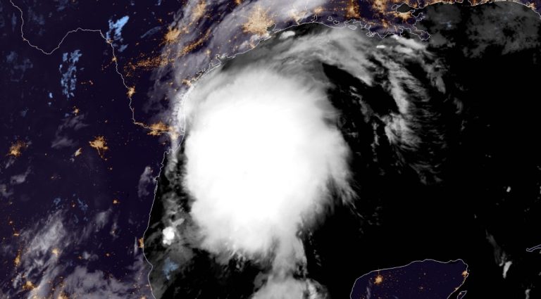 Tempesta Nicholas