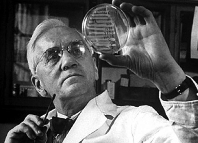 alexander fleming penicillina