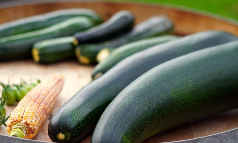 dieta delle zucchine