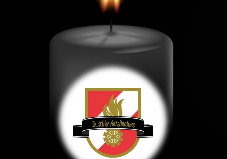 precipita mezzo vigili del fuoco