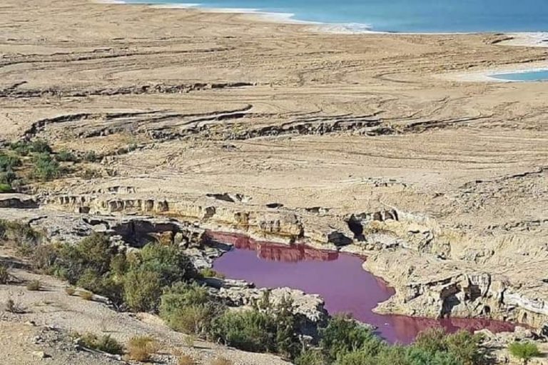 stagno vicino mar morto