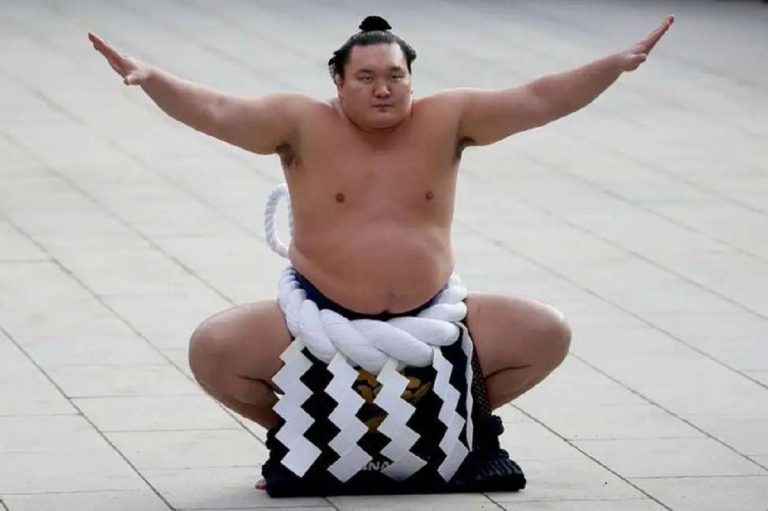 sumo hakuho si ritira
