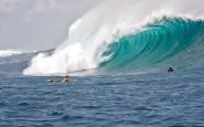 surfista australiano attaccato squalo