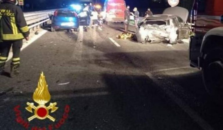 Asti cinghiali invadono tangenziale