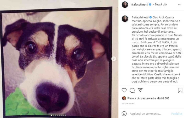 Francesco Facchinetti cane