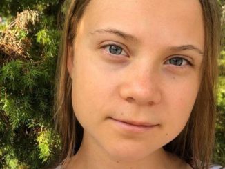 Greta Thunberg Nobel Pace