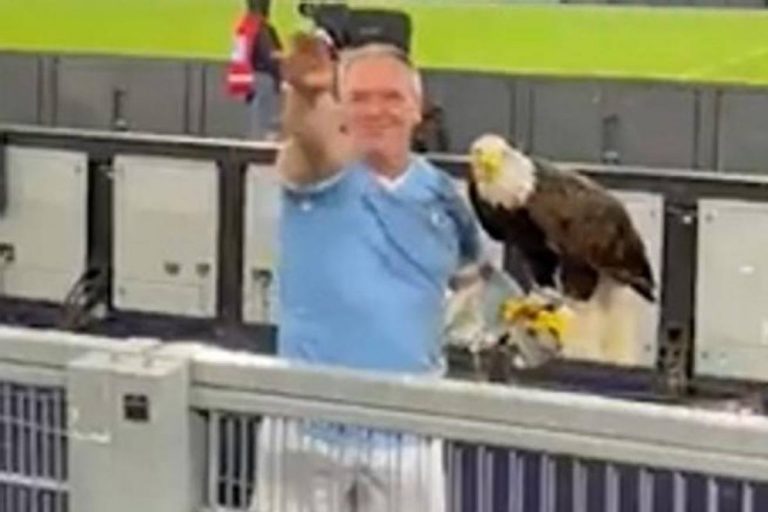 Lazio falconiere saluto romano