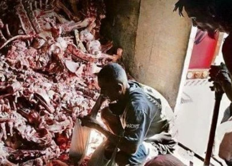 Una delle agghiaccianti immagini di Peixoto