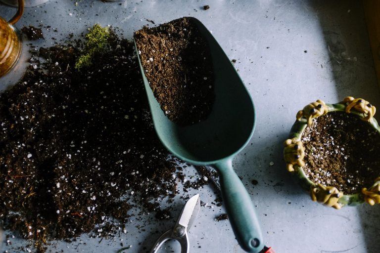 gardening g28460d8cf 1280 768x512