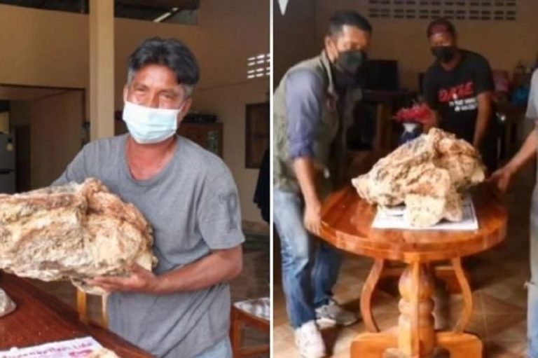 pescatore trova vomito balena