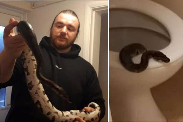uk