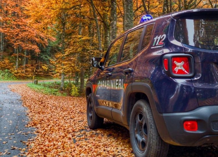 I resti di Mohamed Sow vennero ritrovati in un bosco