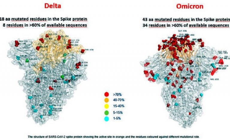 Le due immagini comparate delle spike di Delta ed Omicron
