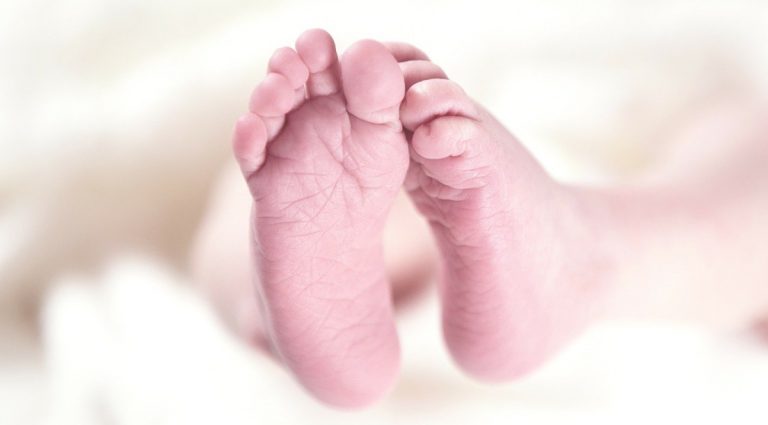 Neonata