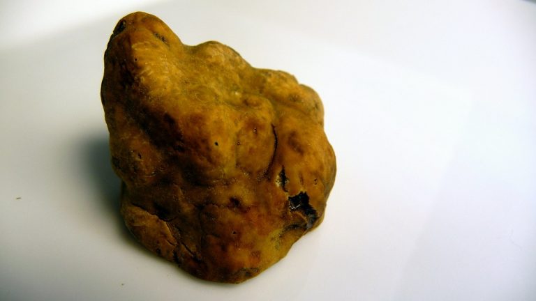 Enzo Iacchetti tartufo