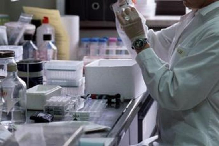 Covid, Gsk-Vir: "Monoclonale sotrovimab attivo anche contro variante Omicron"
