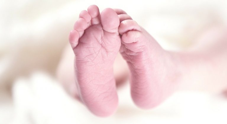 Neonata