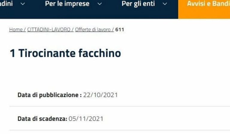 Offerta di lavoro polemiche