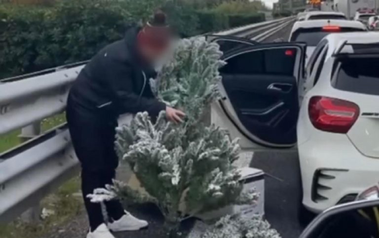 albero di Natale autostrada