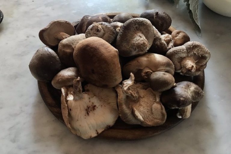 funghi ritirati dal mercato