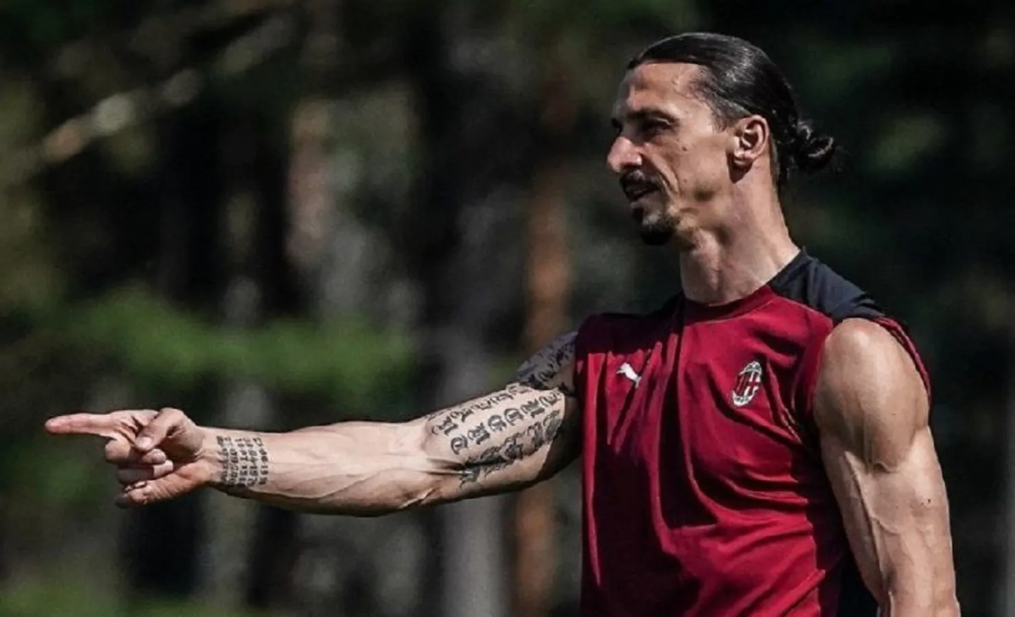 ibrahimovic