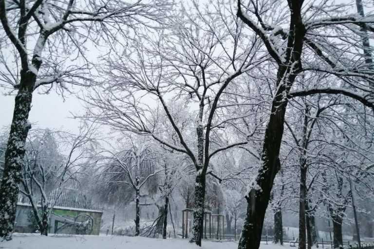 previsioni meteo immacolata