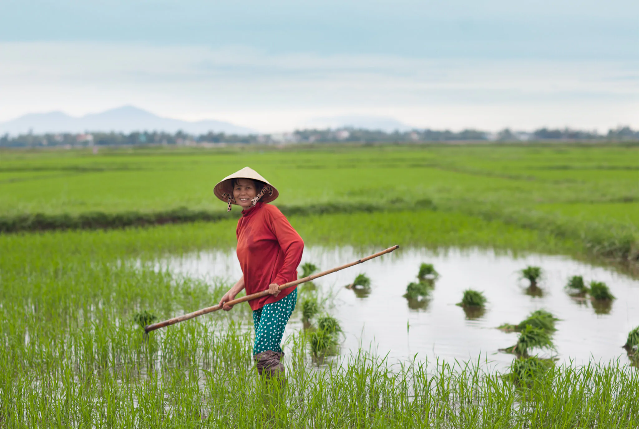 qfb hoian3 vietnam 93lr