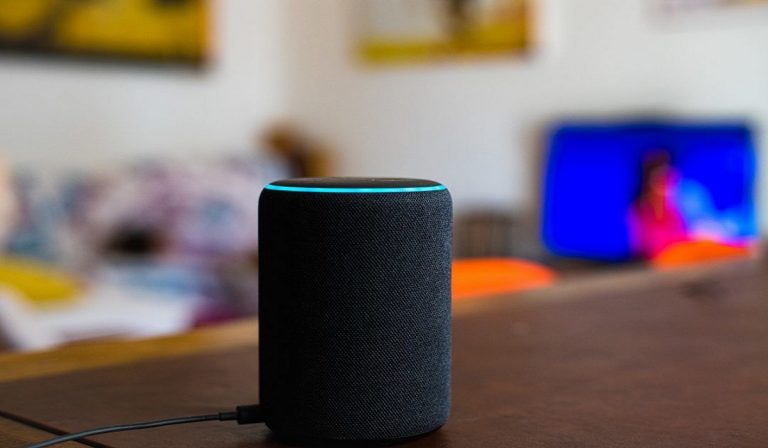 Alexa down, l'assistente di Amazon non funziona