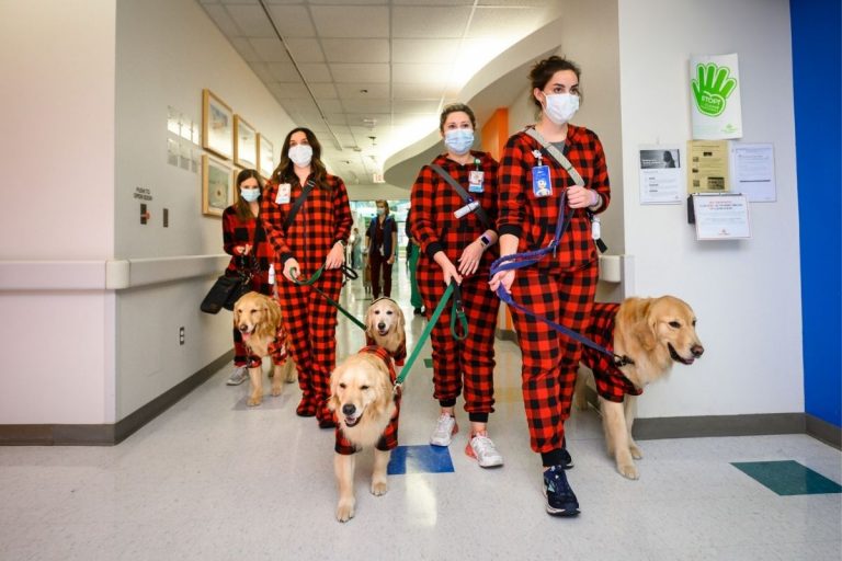 Cani in ospedale bambini