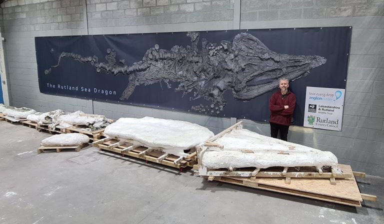 Drago marino, cos'è? Riflettori puntati sull'enorme fossile rinvenuto in Inghilterra