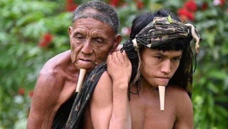 Indigeno