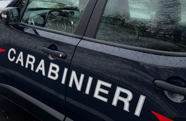 I Carabinieri stanno indagando sul macabro ritrovamento