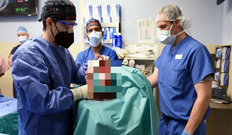 Usa: trapianto con cuore di maiale geneticamente modificato, è la prima volta