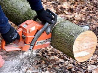 Incidente mortale a Dolzago durante il taglio di legna boschiva