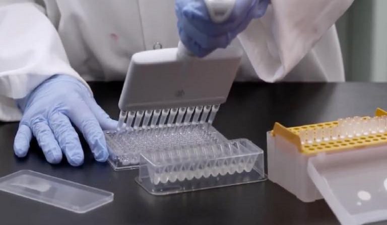Omicron, Pfizer annuncia vaccino entro marzo 2022