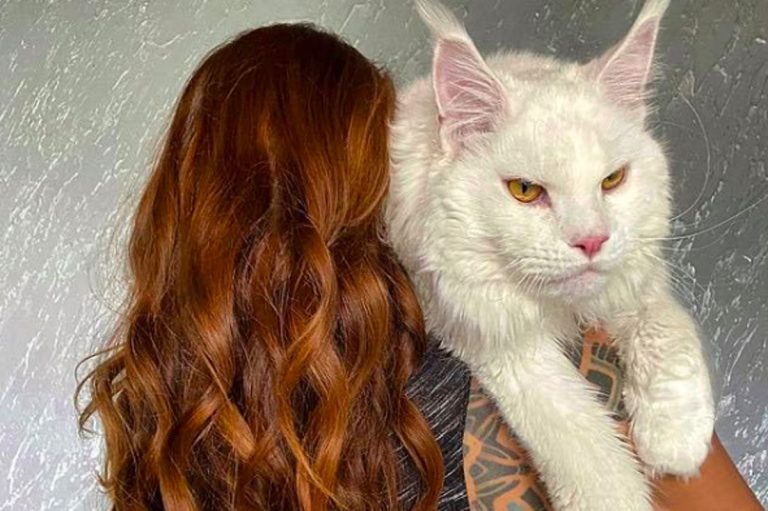 Yulia Minina e il suo gatto