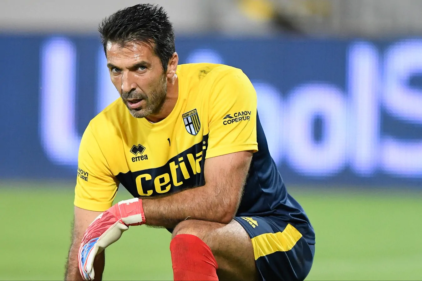 buffon