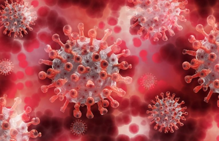 pandemia Covid 2022