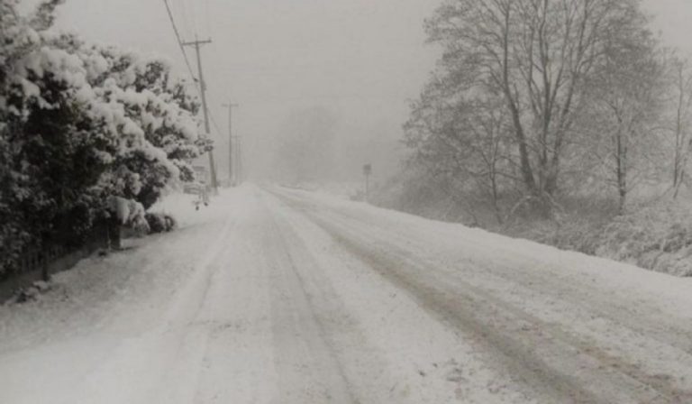Meteo vento e neve