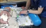 I neonati trasferiti nel rifugio anti aereo