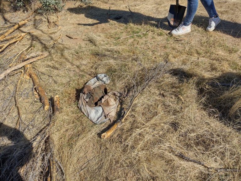 Parco giochi che di notte diventa un cimitero clandestino