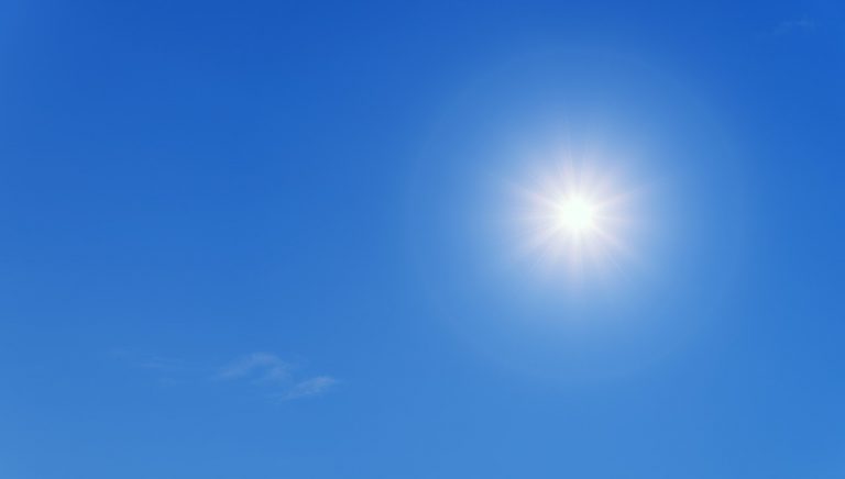 Sole