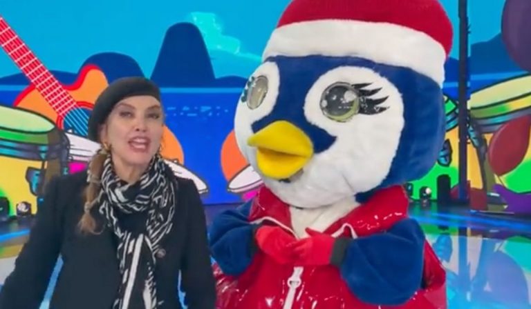 Cantante mascherato pinguino