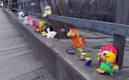 Romania, il "ponte dei bambini" al confine
