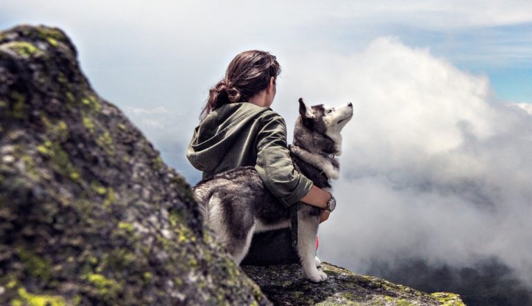 Husky
