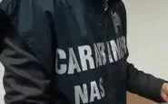 Carabinieri del Nas in azione