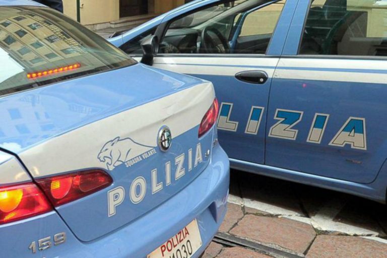 ragazzo aggredito pitbull udine