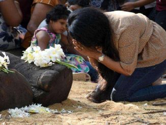 Sri Lanka, funerali di Stato per dire addio a un elefante speciale